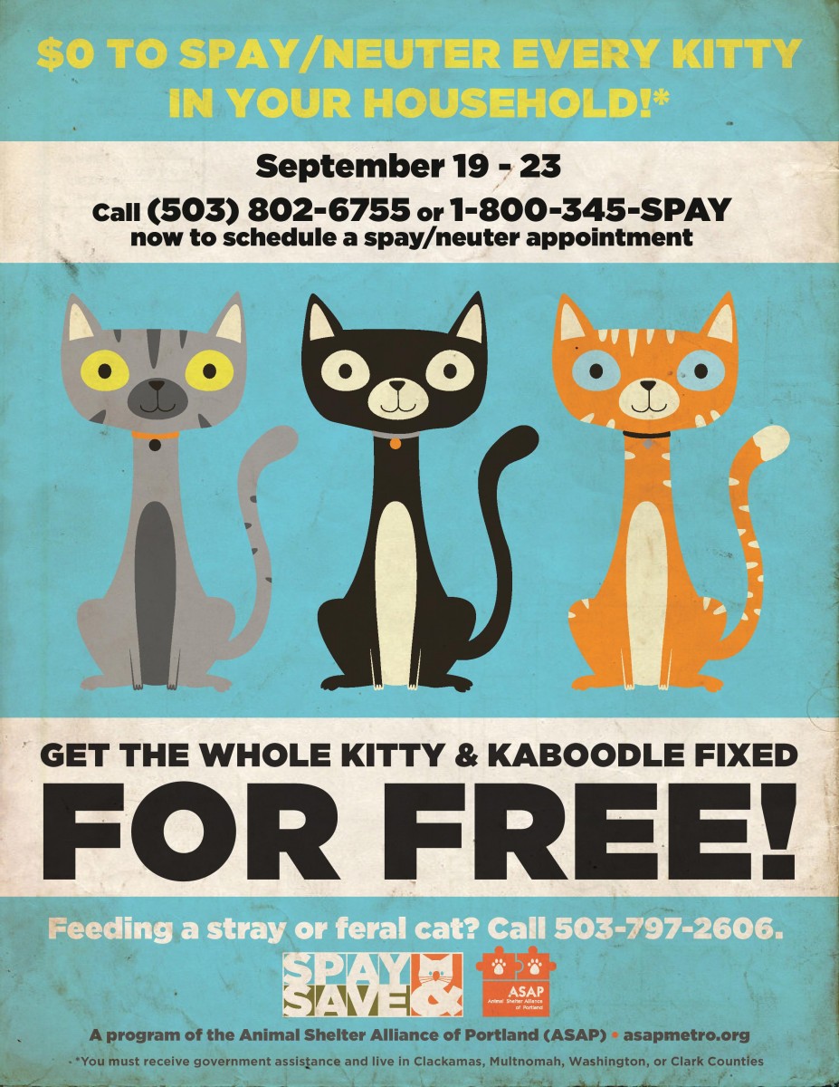Kitty & Kaboodle Spay & Save