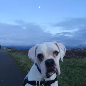 Moon on the trail, under the setting moon!