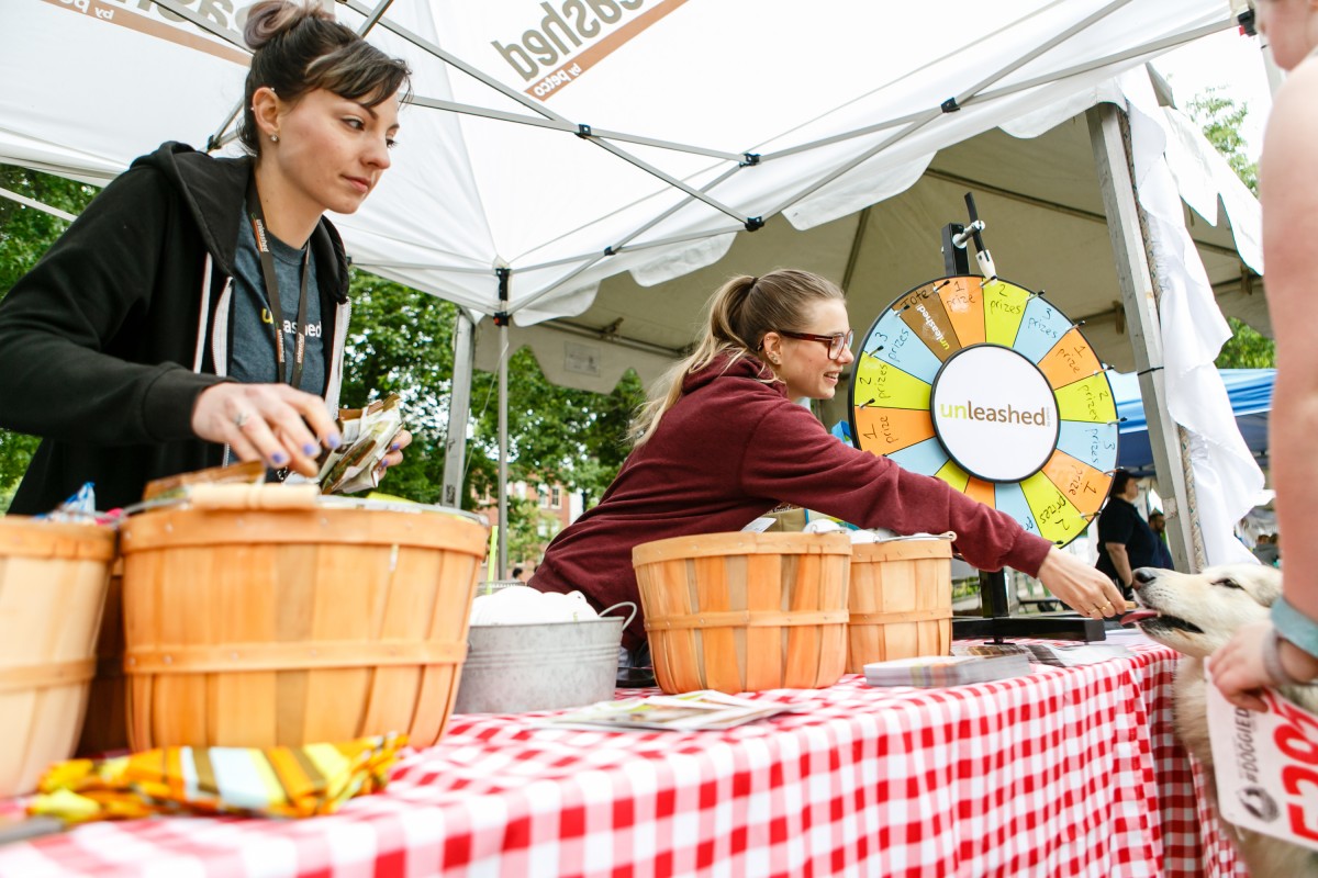 Doggie Dash Pet Festival Activities, Freebies and Fun