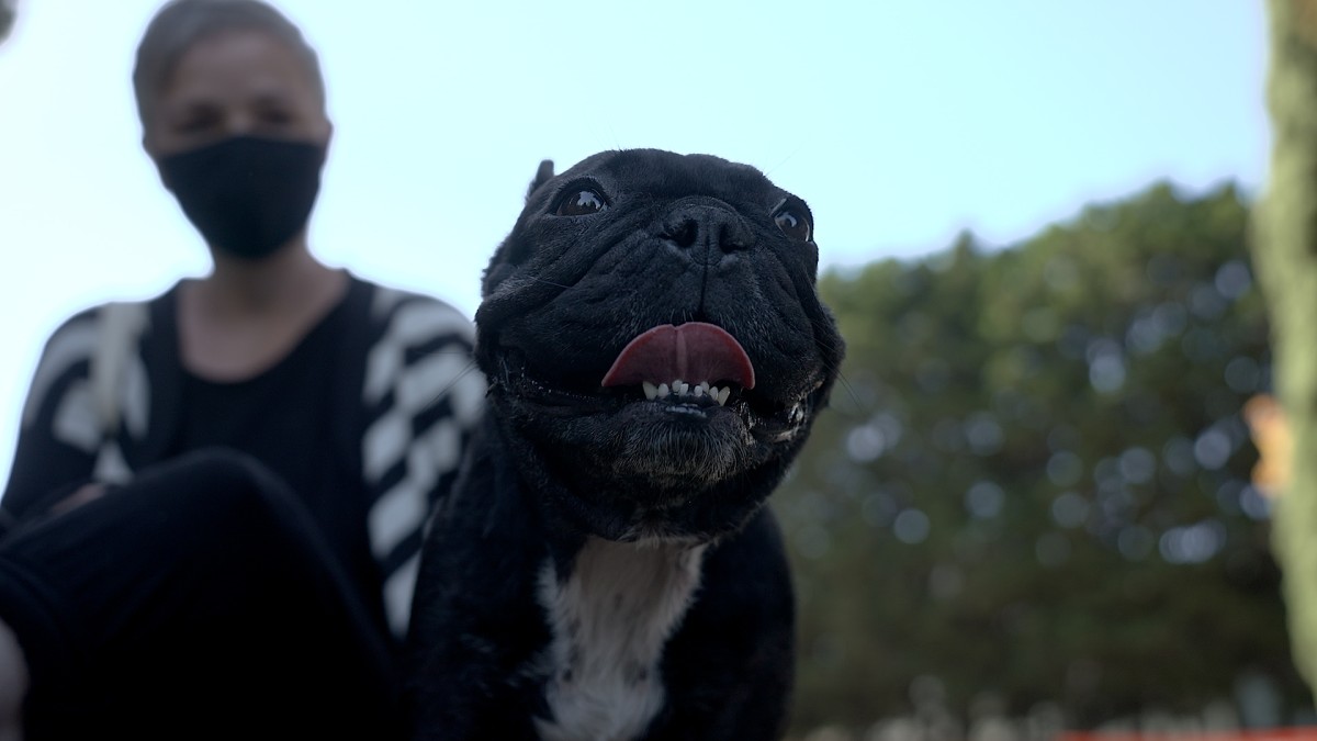 Carly’s Miraculous Journey