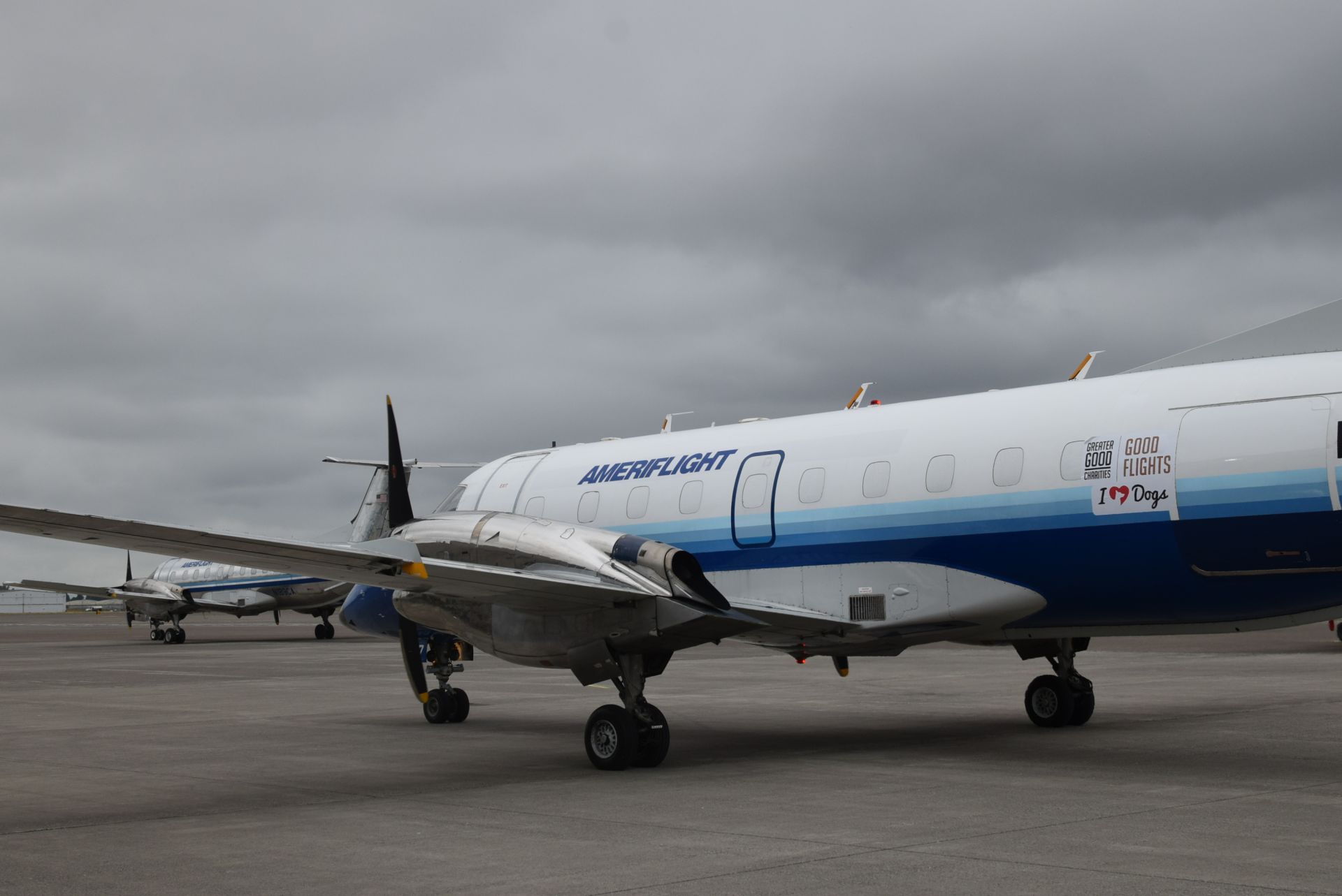 Plane that airlifted 80 beagles to OHS in August 2022