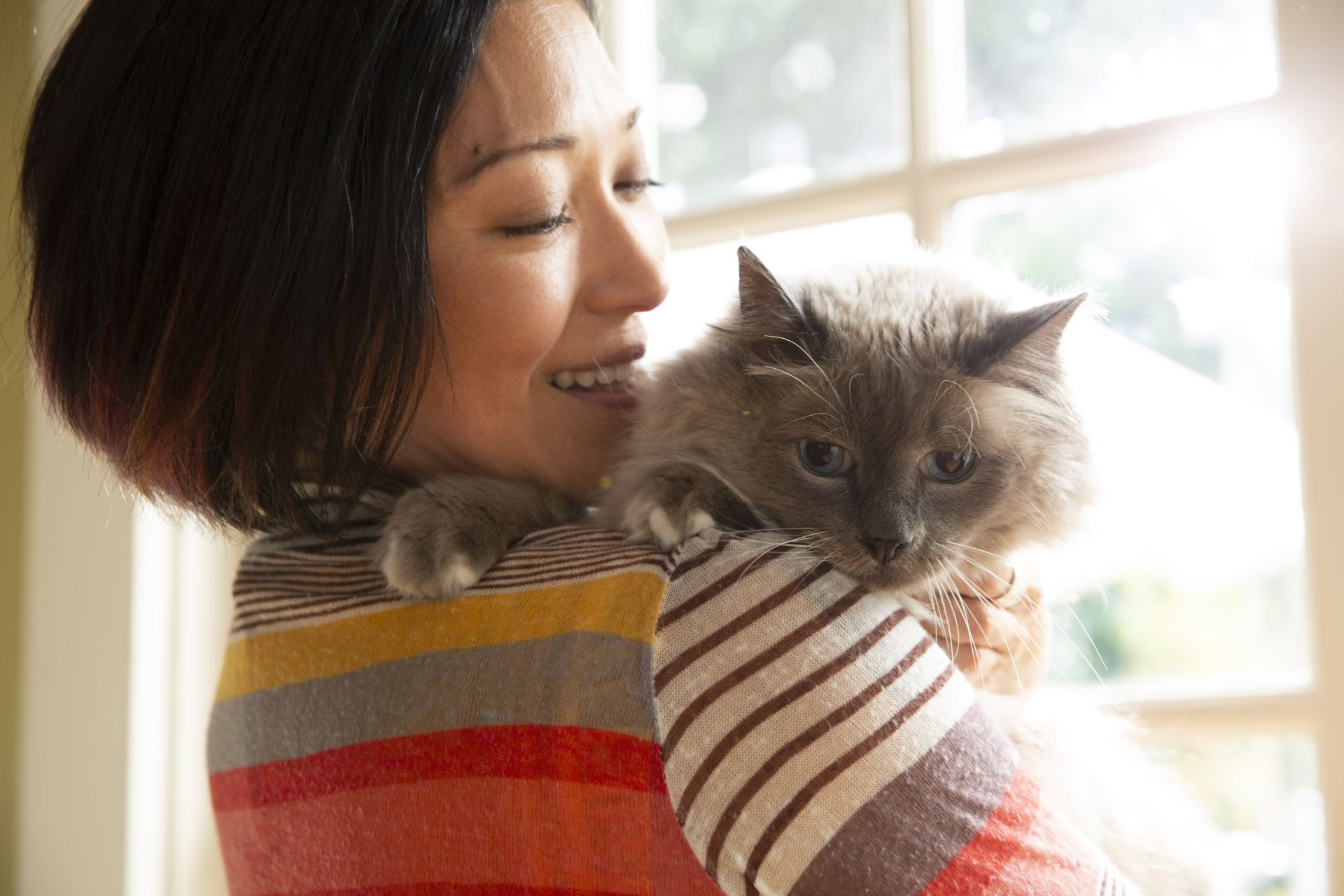 Woman holding fluffy white and grey cat by a bright window