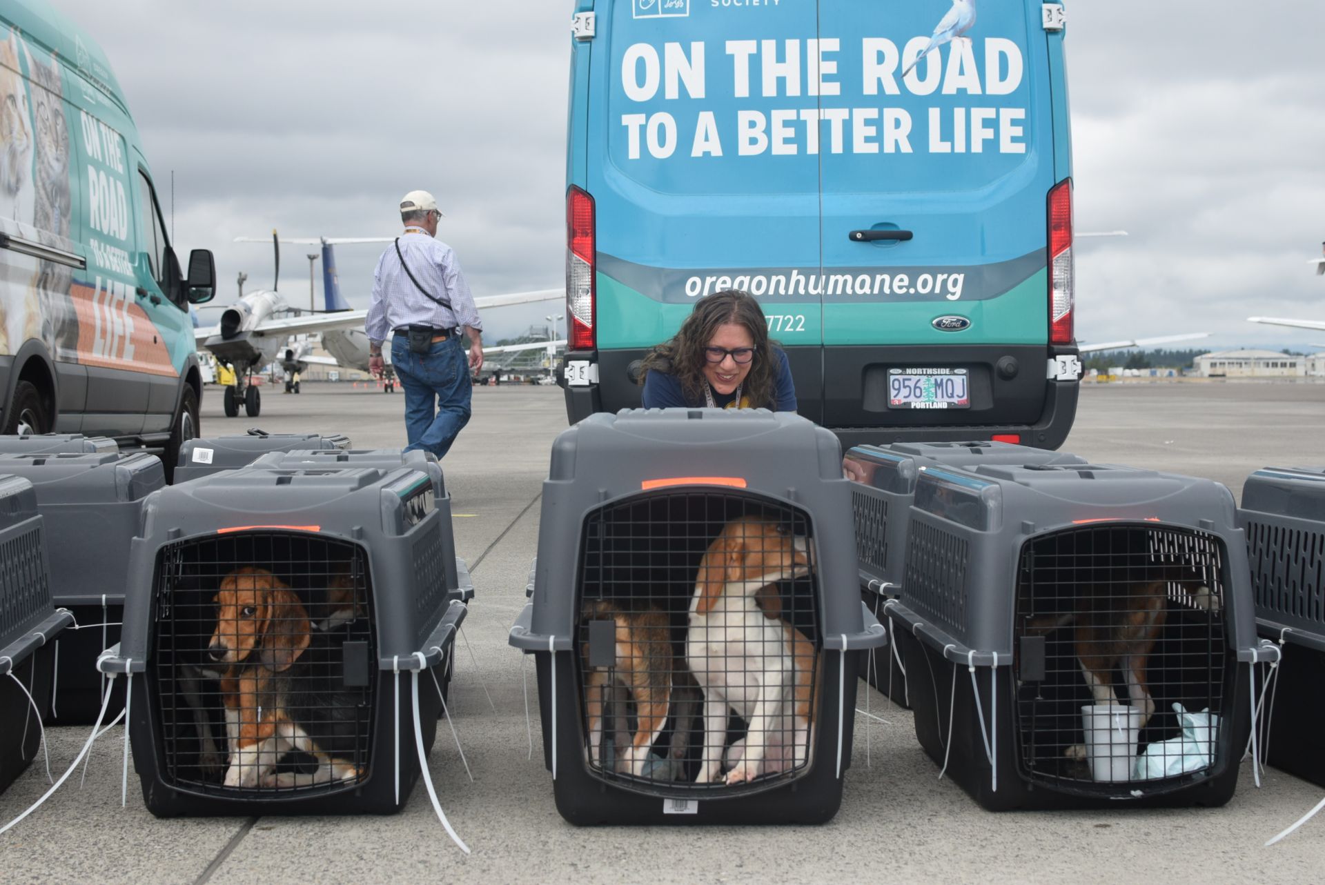OHS staff member greets beagles at PDX airport during a Second Chance program rescue