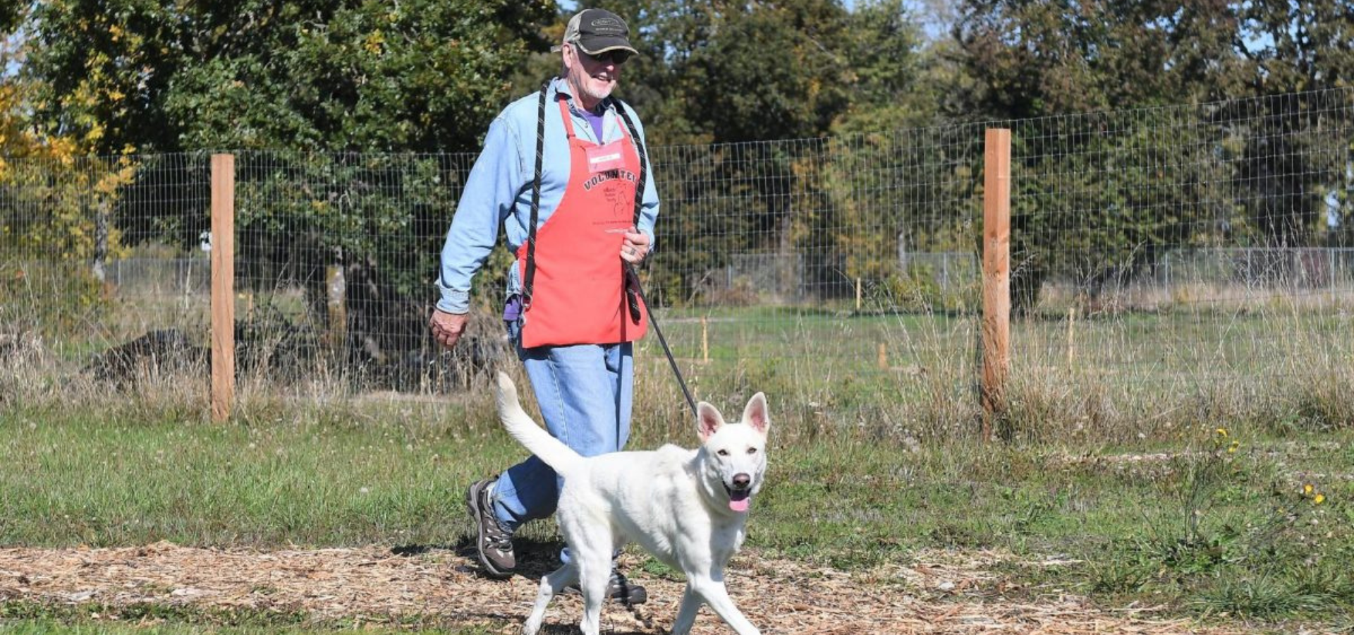 OHS Salem volunteer walking a shelter dog
