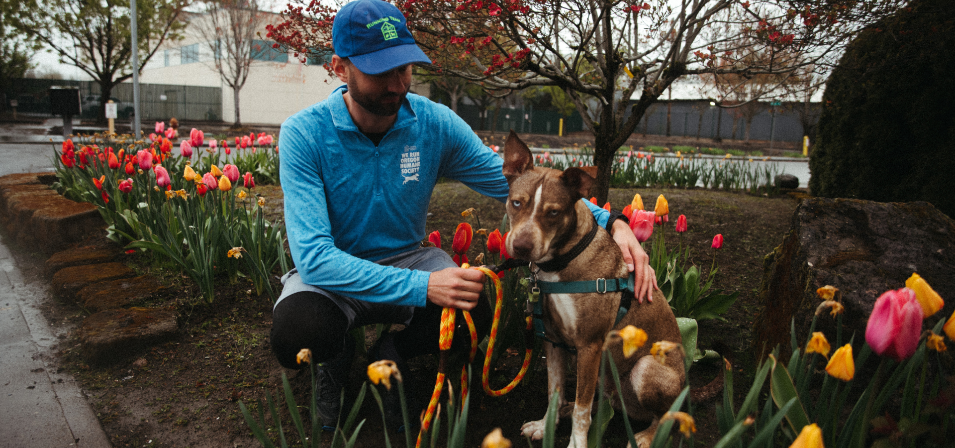 OHS running team volunteer with godric the dog in the OHS portland campu rose garden