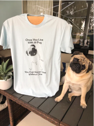 Pet Outfitters t shirt and pug sitting next to it