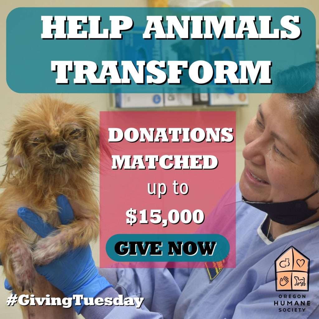 Help Animals Transform. Donations matched up to $15,000 today on Giving Tuesday! 
