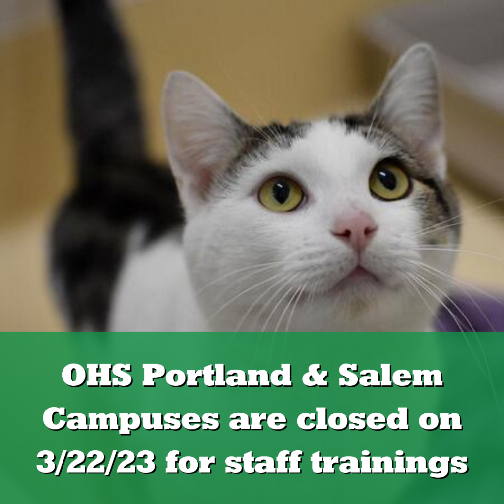 OHS Portland and Salem Campuses will be closed on March 22, 2023 for staff trainings