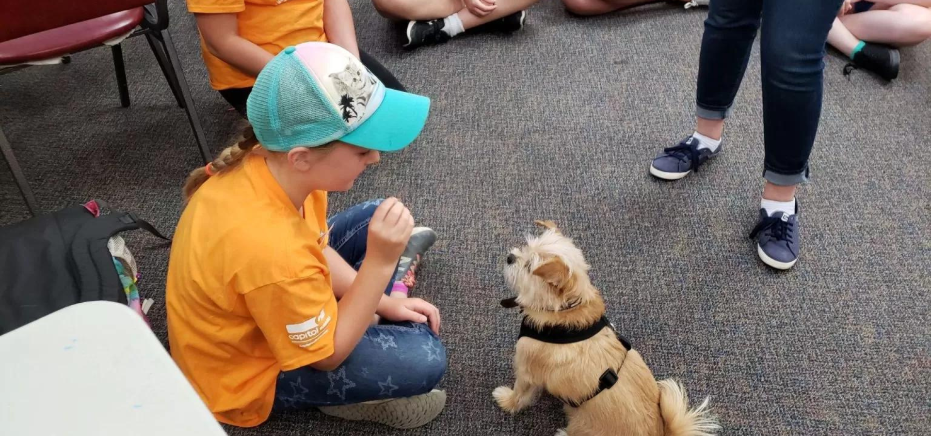 Kid interacting with small dog at Camp Paws and Whiskers at OHS Salem Campus