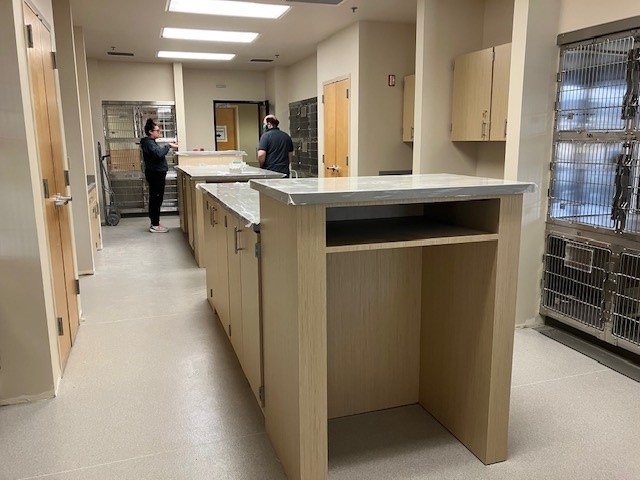 Interior of renovated cattery, showing the staff work area with new countertops and flooring.