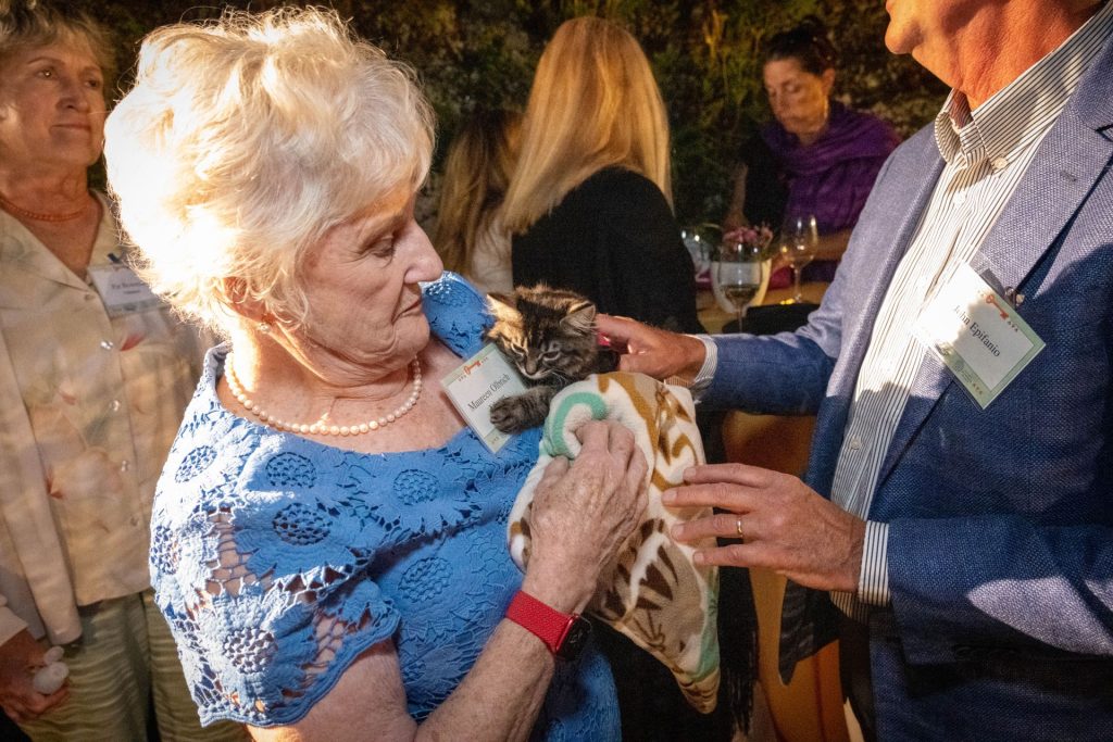 Guest holding a kitten at the 2023 Tail wag event