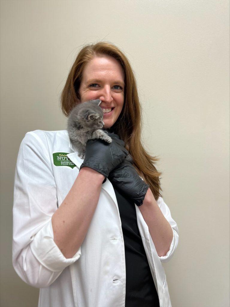 OHS intern - Dr. Kayla Harris holding a grey kitten