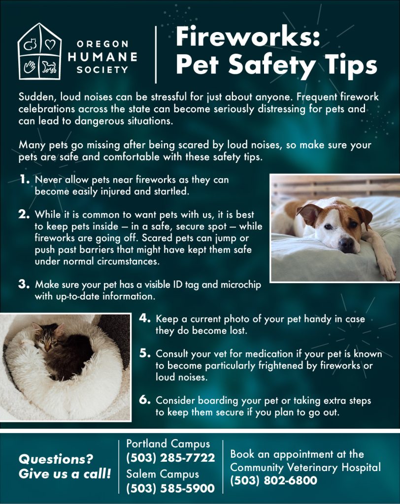 OHS' Downloadable Fourth of July Pet Safety Flyer