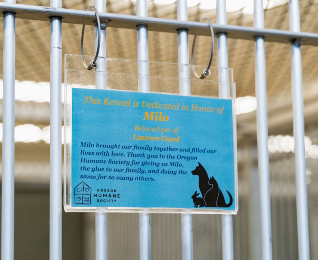 Image of sign dedicated to an animal on a shelter pet kennel