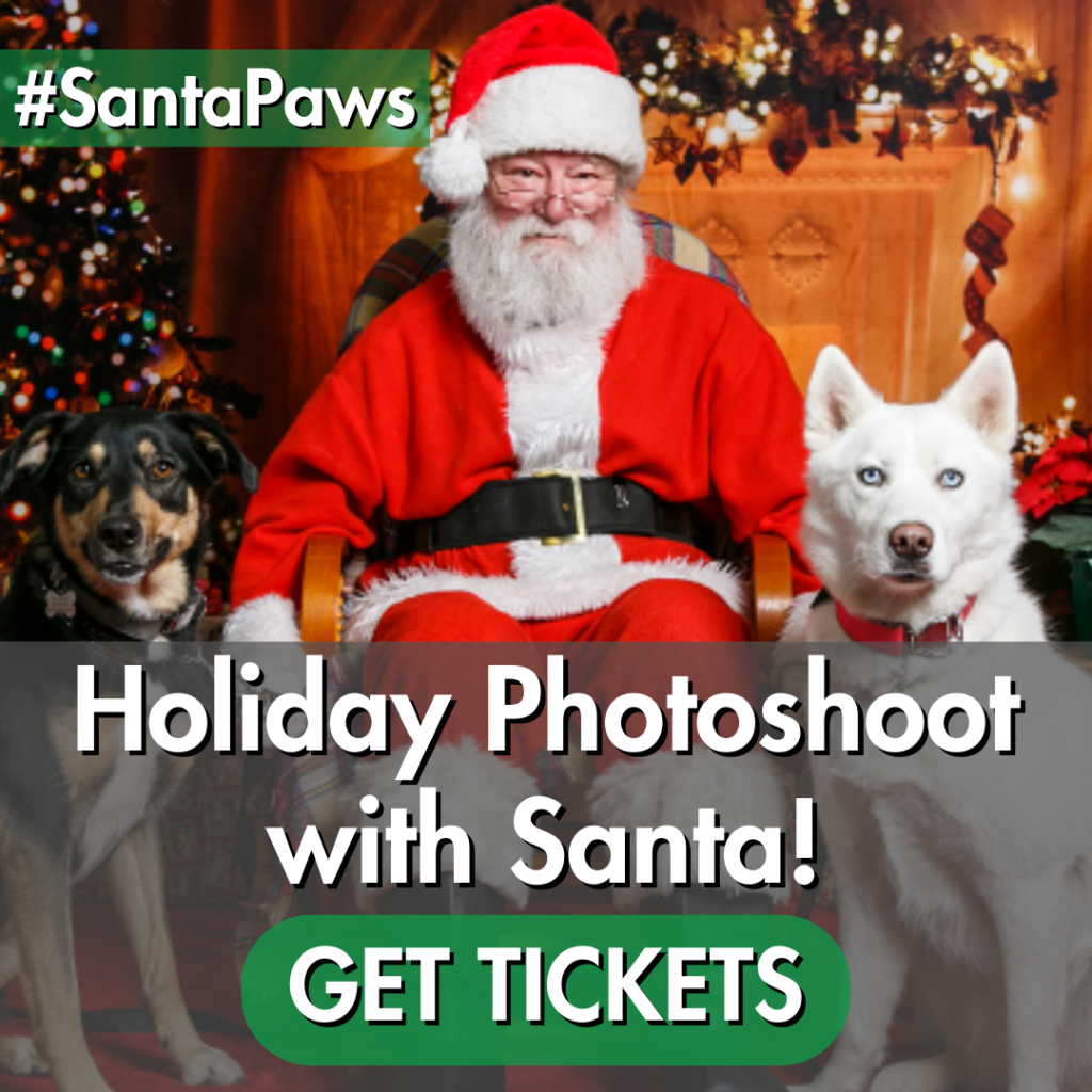 Oregon Humane Society Santa Paws. Holiday photoshoot with santa. Get tickets, click here button.