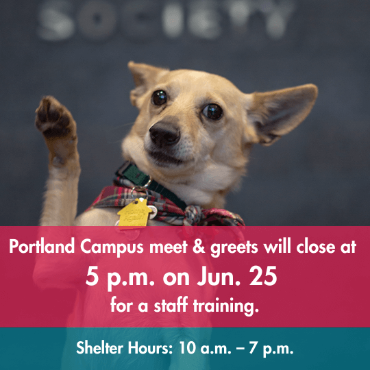 Portland Campus meet & greets will close at 5 p.m. on Jun. 25 for a staff training. | Shelter Hours: 10 a.m. – 7 p.m.