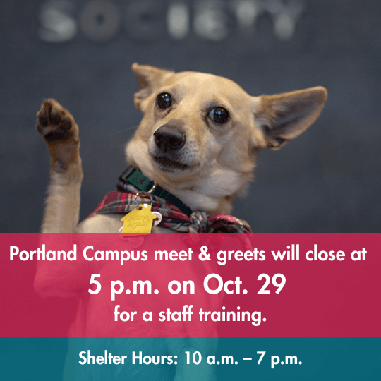 Portland Campus meet & greets will close at 5 p.m. on Oct. 29 for a staff training. | Shelter Hours: 10 a.m. – 7 p.m.