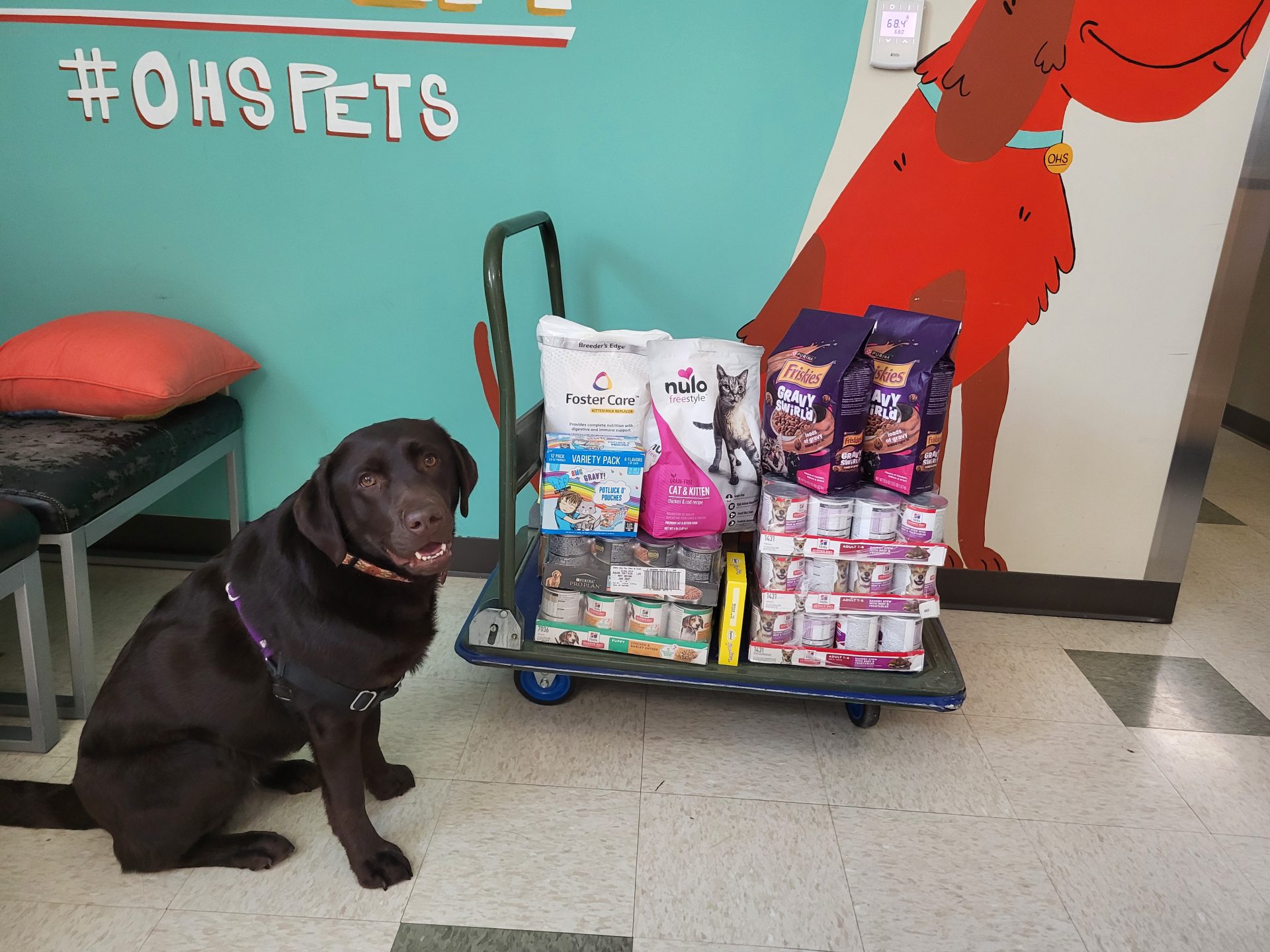 Donors Doing More For the Animals!