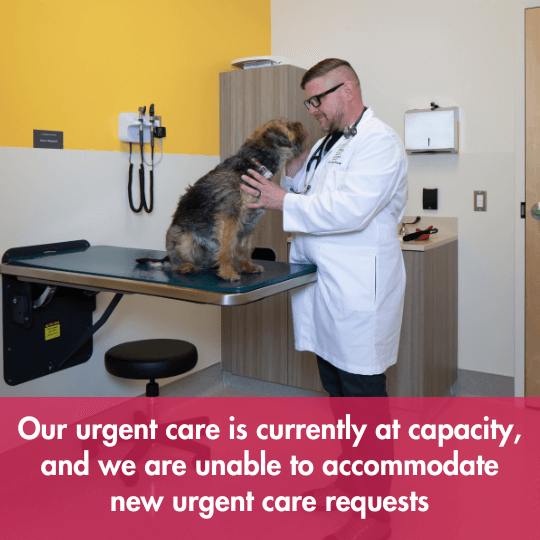 Our urgent care is currently at capacity, and we are unable to accommodate new urgent care requests