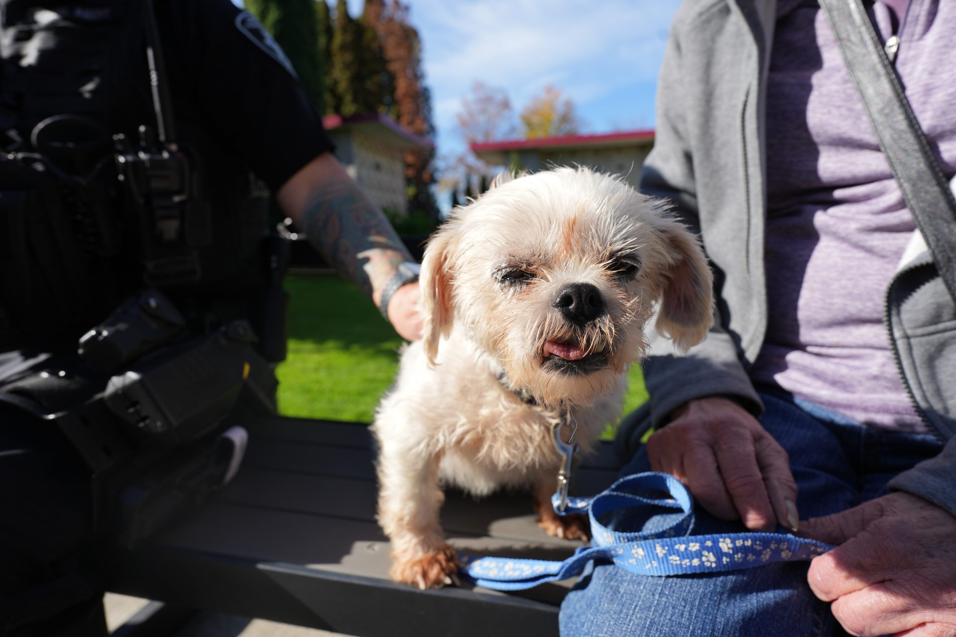 Giving Season at OHS