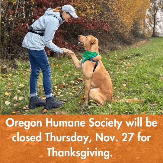 Oregon Humane Society will be closed Thursday, Nov. 27 for Thanksgiving. 