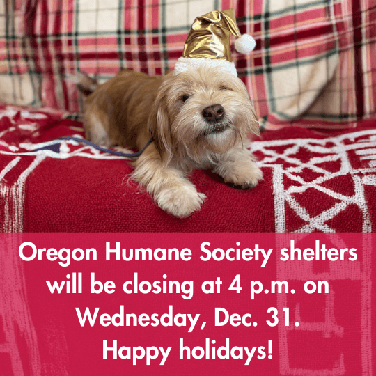 OHS Community Veterinary Hospital will be closing at 4 p.m. on Wednesday, Dec. 31.