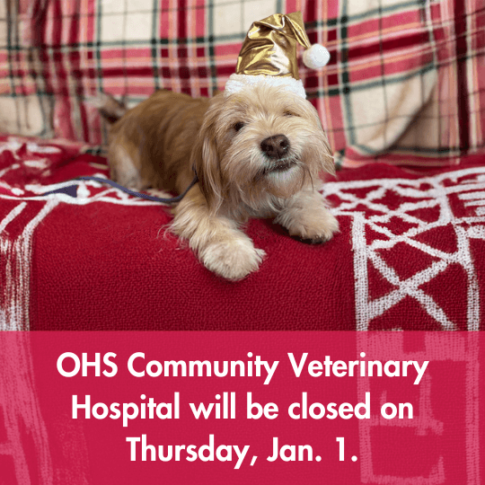 OHS Community Veterinary Hospital will be closed on Thursday, Jan. 1.