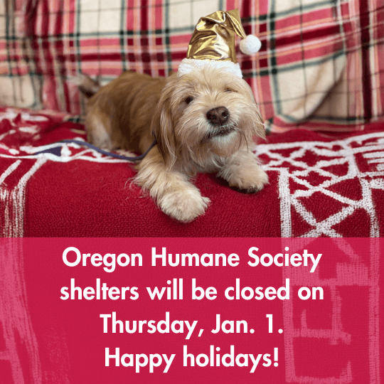 Oregon Humane Society shelters will be closed on Thursday, Jan. 1. Happy holidays!
