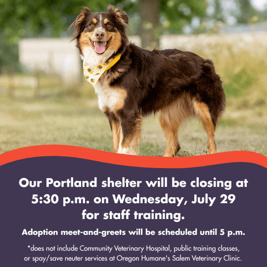 Our Portland shelter will be closing at 5:30 p.m. on Wednesday, July 29
for staff training. | Adoption meet-and-greets will be scheduled until 5 p.m. | *does not include Community Veterinary Hospital, public training classes, or spay/save neuter services at Oregon Humane's Salem Veterinary Clinic.