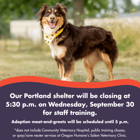 The OHS Portland shelter will be closing at 5:30 p.m. on Wednesday, September 30 for staff training. |
Adoption meet-and-greets will be scheduled until 5 p.m. | *does not include Community Veterinary Hospital, public training classes, or spay/save neuter services at Oregon Humane's Salem Veterinary Clinic.