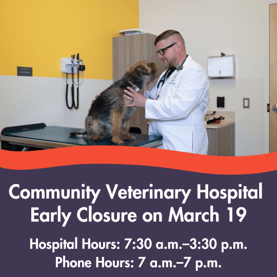 Community Veterinary Hospital 
Early Closure on March 19
Hospital Hours: 7:30 a.m.–3:30 p.m.
Phone Hours: 7 a.m.–7 p.m.