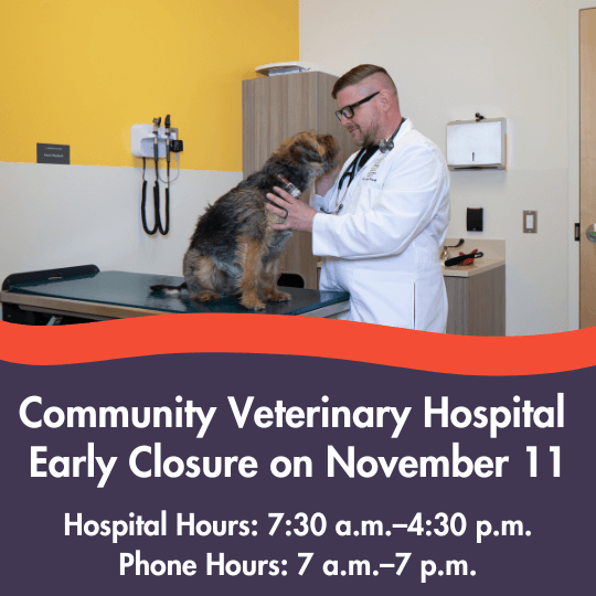 Community Veterinary Hospital 
Early Closure on November 11
Hospital Hours: 7:30 a.m.–4:30 p.m.
Phone Hours: 7 a.m.–7 p.m.