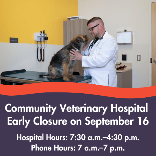 Community Veterinary Hospital 
Early Closure on September 16
Hospital Hours: 7:30 a.m.–4:30 p.m.
Phone Hours: 7 a.m.–7 p.m.