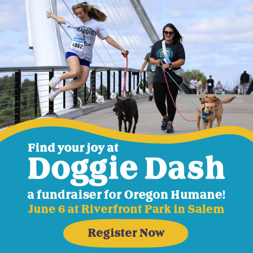 Find your joy at Doggie Dash a fundraiser for Oregon Humane! | Register Now