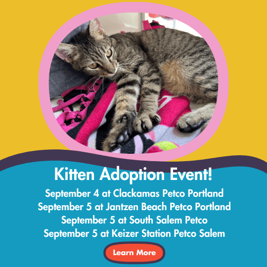 Kitten Adoption Event! | September 4 at Clackamas Petco Portland |
September 5 at Jantzen Beach Petco Portland | September 5 at South Salem Petco | September 5 at Keizer Station Petco Salem | Learn More