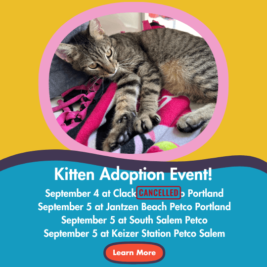 Kitten Adoption Event! | September 4 at Clackamas Petco Portland |
September 5 at South Salem Petco | September 5 at Keizer Station Petco Salem | Learn More