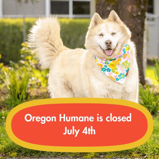 Oregon Humane is closed 
July 4th