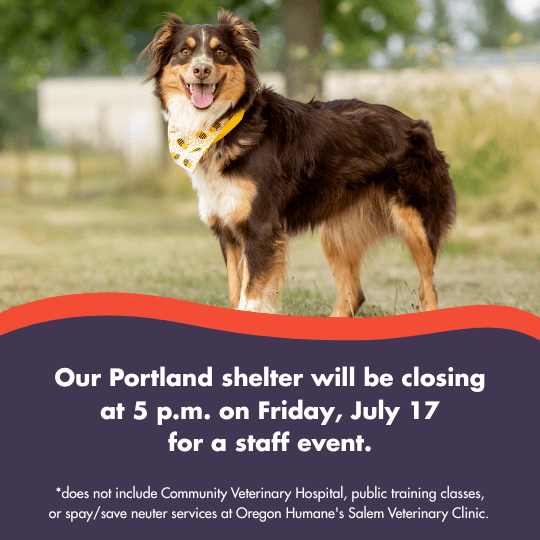 Our Portland shelter will be closing at 5 p.m. on Friday, July 17
for a staff event. | *does not include Community Veterinary Hospital, public training classes, or spay/save neuter services at Oregon Humane's Salem Veterinary Clinic. 