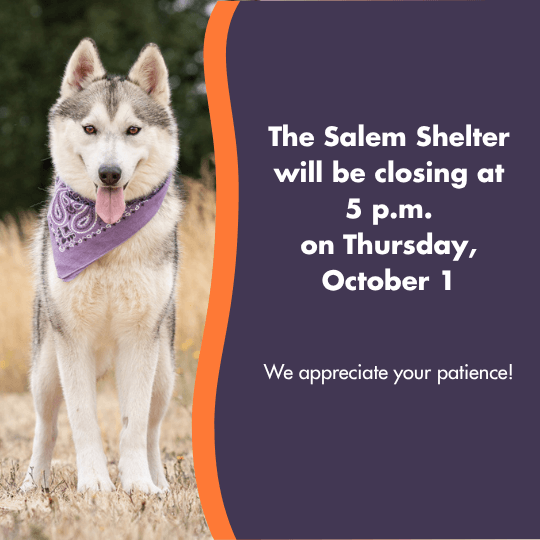 The Salem Shelter will be closing at 5 p.m. on Thursday, October 1