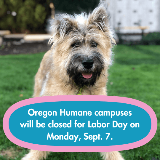 Oregon Humane campuses
will be closed for Labor Day on Monday, Sept. 7.