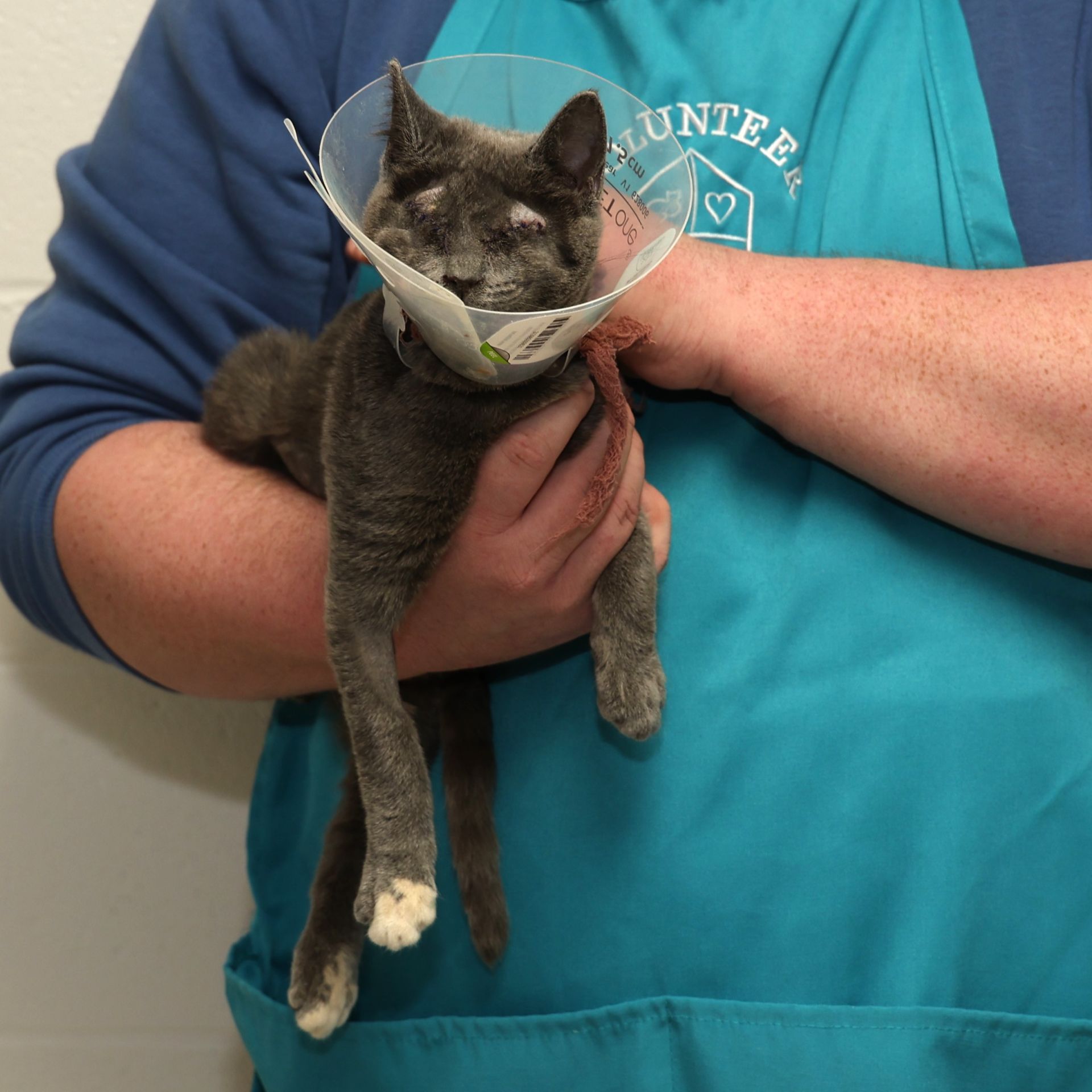 Medical Care at Oregon Humane
