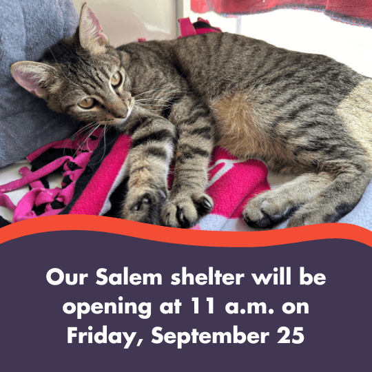 Our Salem shelter will be opening at 11 a.m. on Friday, September 25