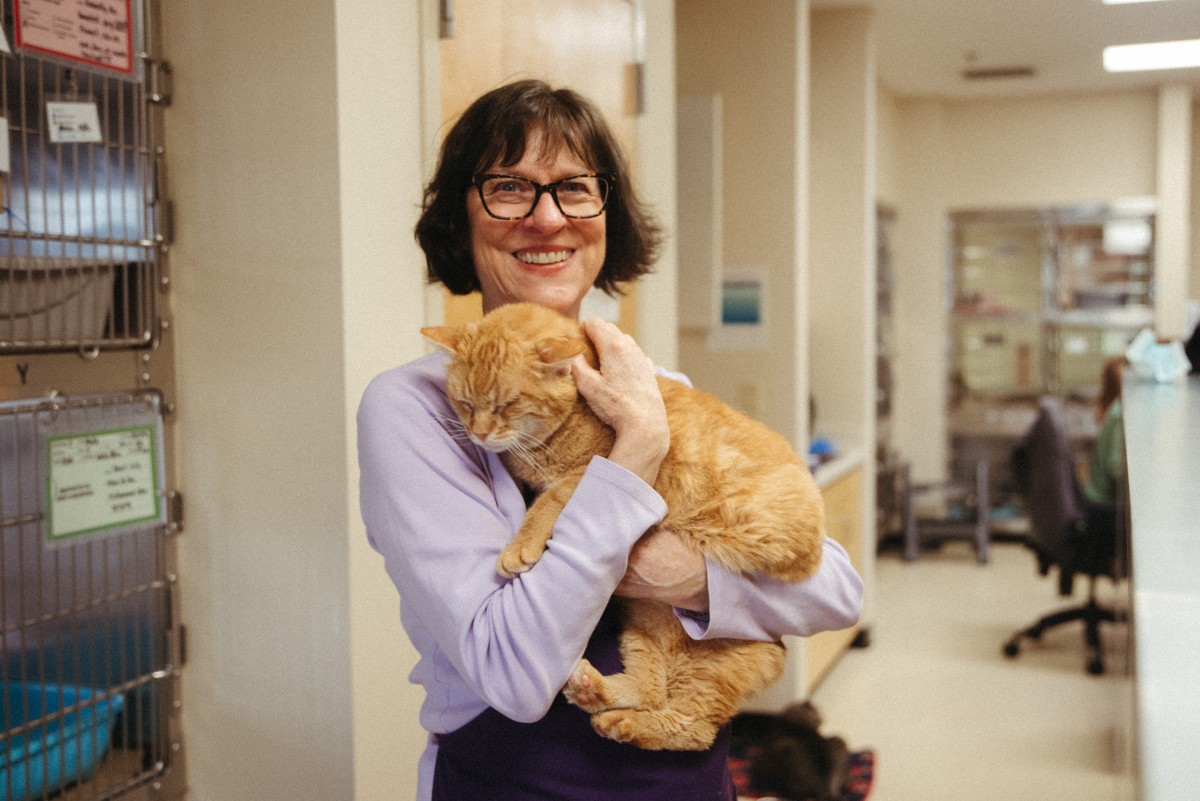 The Cattery Crew: Q&A with Nancy Judy