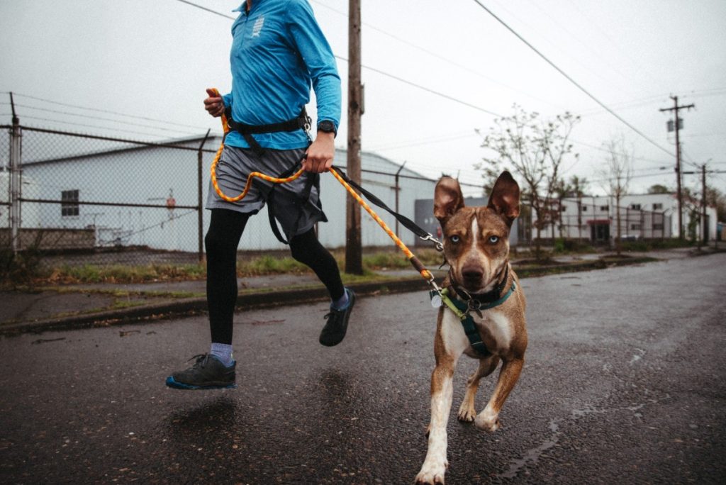 volunteer running with dog