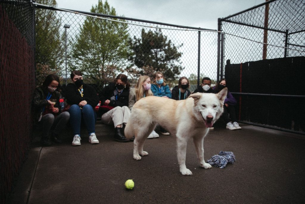 Youth Volunteers with Dog