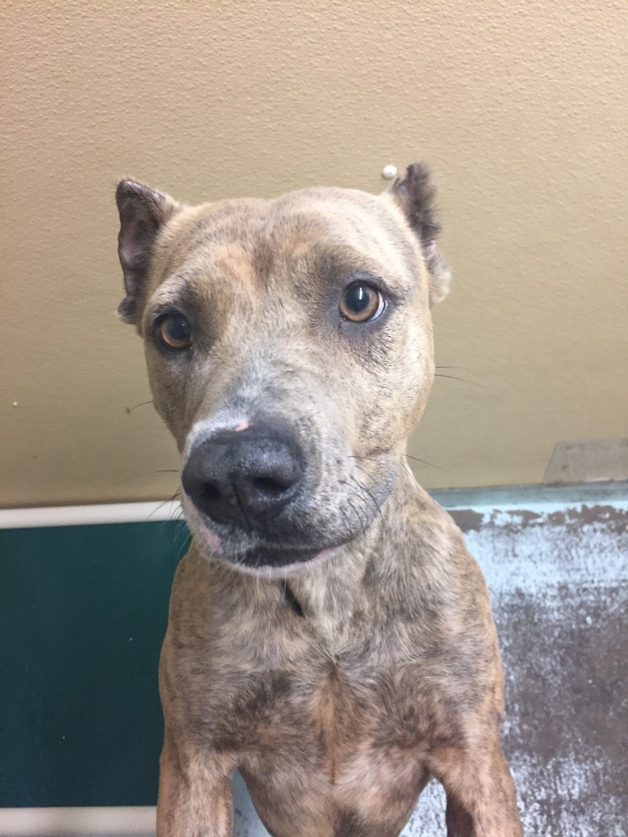 Amber Seeks New Start After Surviving Abuse