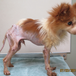 buster before
