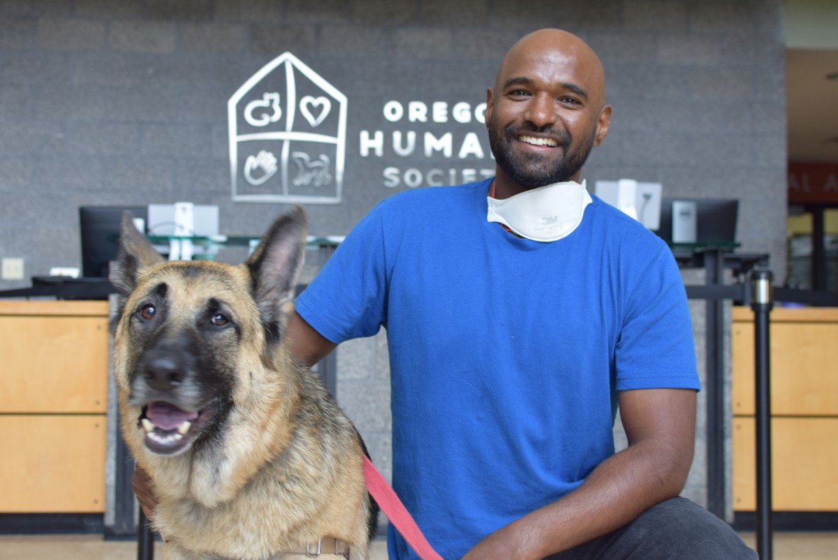 From Foster to Forever: My Life with Sancho