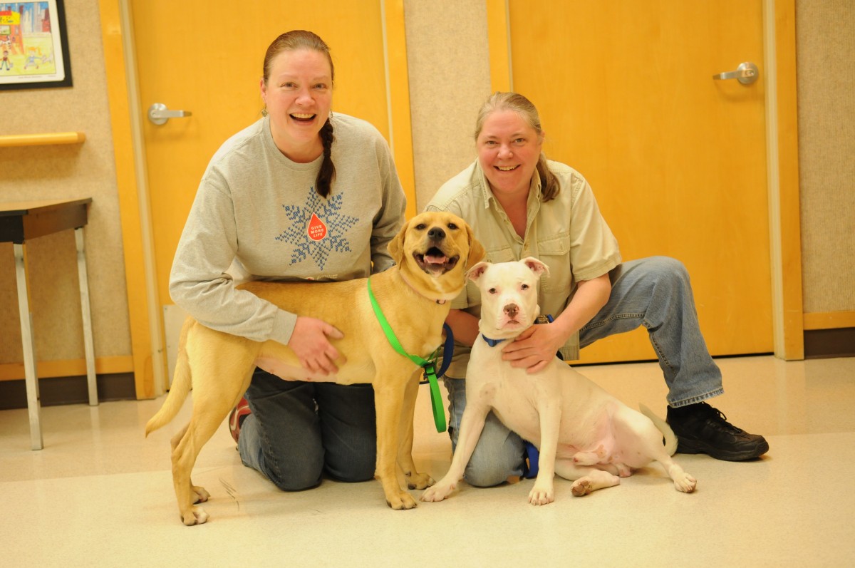 Radar and Tina Find Their Way Home