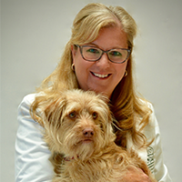 What You Need to Know About Dog Flu